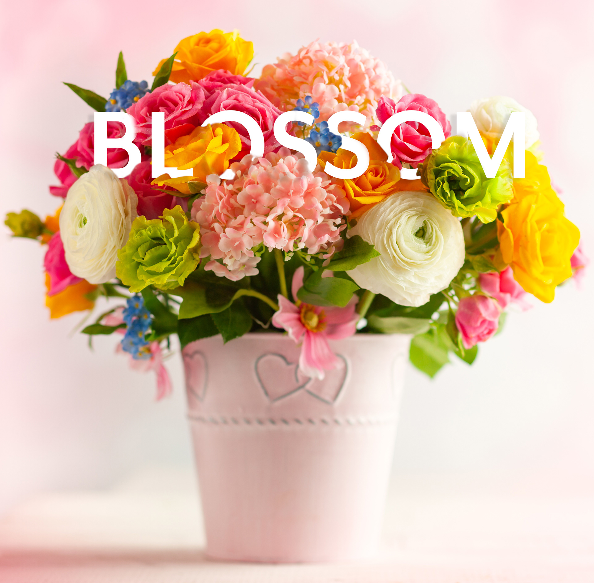 Blossom-Photo-Manipulation
